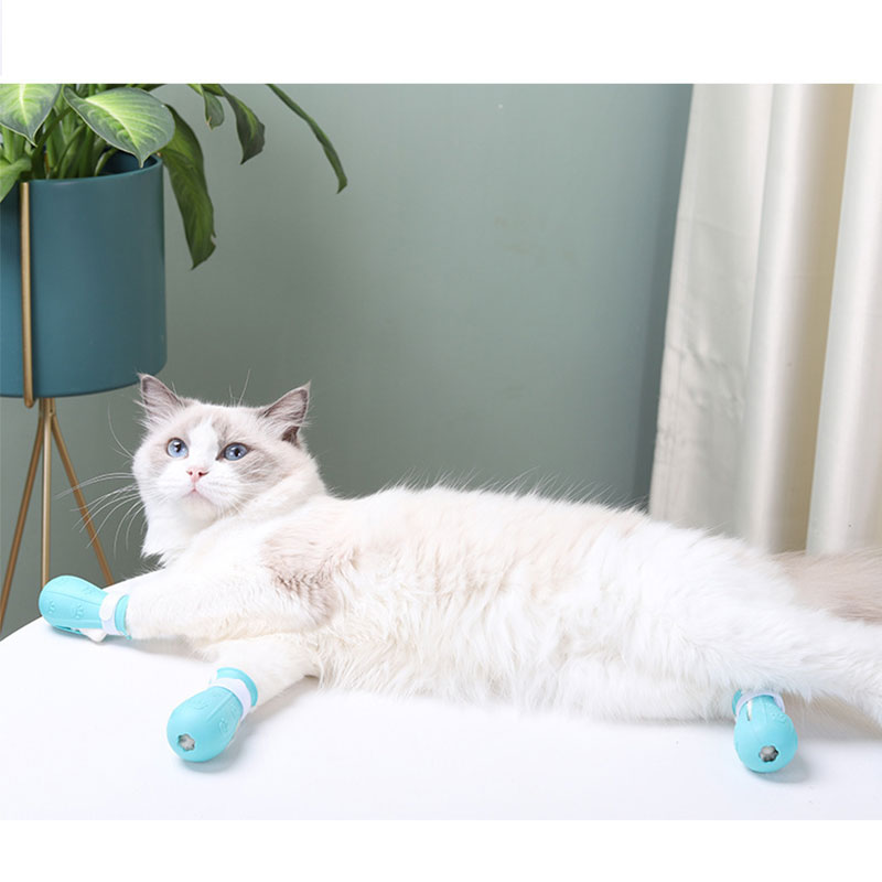 GuardPaw™ Soft-Touch: Professionella Skyddsstövlar för Säker Kloklippning & Bad – 4-pack