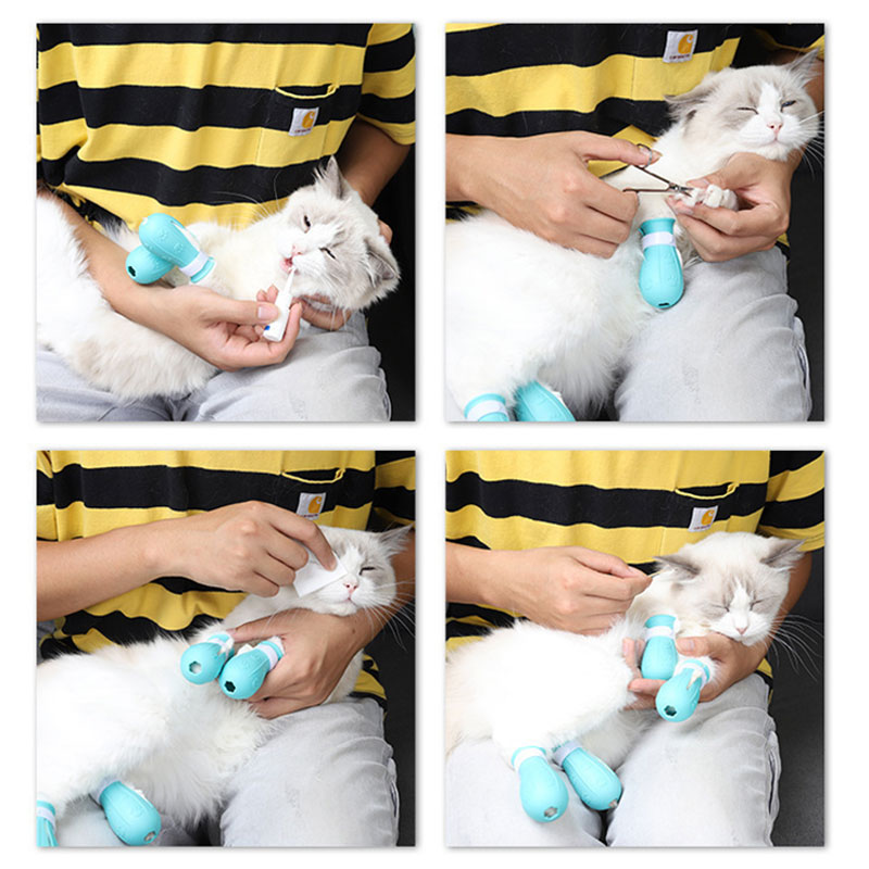 GuardPaw™ Soft-Touch: Professionella Skyddsstövlar för Säker Kloklippning & Bad – 4-pack